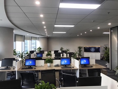 深耕區(qū)域，洞察市場(chǎng) 浙江杭鑫經(jīng)濟(jì)信息咨詢(xún)的市場(chǎng)調(diào)查實(shí)踐與價(jià)值